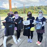 カラフルガーベラ