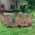 Rain Garden 