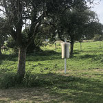 SCHURRfix posts in the pasture