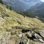 Der Weg wird nie besser