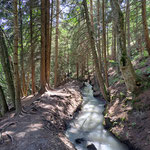 Am Anfang geht es durch den Wald