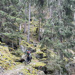 Es ist ein schöner Trail und für alle machbar