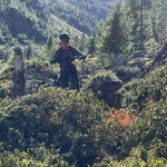 Der Weg ist mit roter Farbe markiert, man sieht ihn aber meistens nicht - Vorher kletterten wir über Steine, jetzt kämpfen wir mit den Alpenrosen