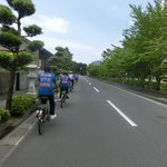 知覧は、緑豊かな街。