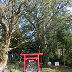 ⑩一宮神社　鳥居
