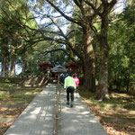 ⑩一宮神社