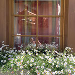 Fenster zum Garten des Casa Godin da Larschs im Oberengadin