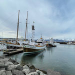 Der Hafen von Húsavík