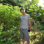 野生のホーリーバジルと言われるヴァナトゥルシー。沖縄では多年草になります。