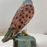 Turmfalke 2 Holz 30 cm 2021-12