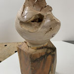 Aufpfropfknolle Apfel 1  18/16 cm 2021-12