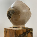 Aufpfropfknolle Apfel 3 18/16 cm 2021-12