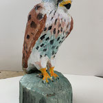 Turmfalke 1 Holz 30 cm 2021-12