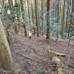 西側斜面への取りつき