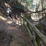 壊れかけの木の橋を渡ると手すりがあるが、その先は斜面を歩くことになる。