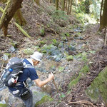 仙人の滝から音羽山山頂へ。何か所か渡渉します。