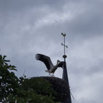 An der Kirche