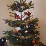 De kerstboom bij de ingang van het appartement