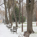 Le parc Kalemegdan
