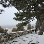 Le par Kalemegdan