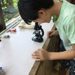 光学顕微鏡でDNAの観察中！