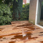 Ipe Terrassendielen Bonn