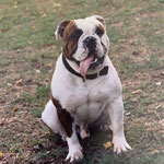 Lucky (ca. 2003)
