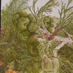 "Zypresse" / Öl / 60x80 cm / 2023 /----CHF 3'800---- 