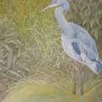 Reiher an der Wasserkante / Öl / 40x30 cm /----CHF 1'600----