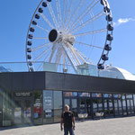 Navy Pier