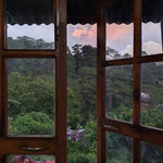 Ausblick beim Abendessen