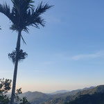 ... diesen Ausblick genießen