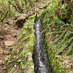 Levada, Wanderweg PR10