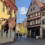 Gotha