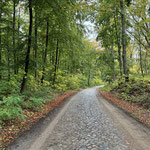 in der Schorfheide