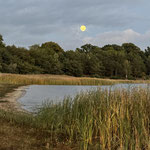 Mondaufgang am Dreiweibernsee