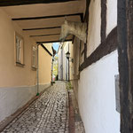 Gotha