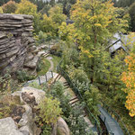 die Greifensteine in Ehrenfriedersdorf