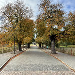 Schloss Schwerin (Schlossgarten)