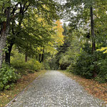 die Greifensteine in Ehrenfriedersdorf
