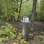 in der Schorfheide