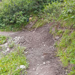 Weg richten Gaisbachtobel