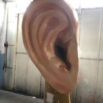 "Oreja" gigante