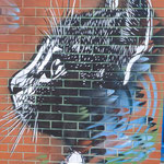 Le Chat