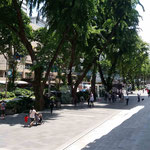 Orchard Road