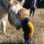 Esel und Kind