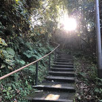 山道を歩きます。