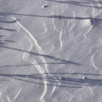 Feine Linien im Schnee.