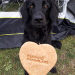 Lecker Hundekeks für Fair Ness