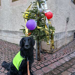 Fasching in Bischofsheim/Rhön, "Halex"